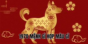 1986 Mệnh Gì Hợp Màu Gì? Chọn Màu Để Kích Hoạt May Mắn 2025