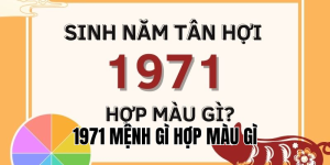 1986 Mệnh Gì Hợp Màu Gì? Chọn Màu Để Kích Hoạt May Mắn 2025
