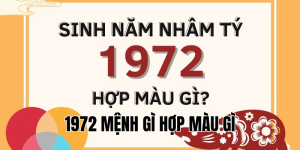 1986 Mệnh Gì Hợp Màu Gì? Chọn Màu Để Kích Hoạt May Mắn 2025