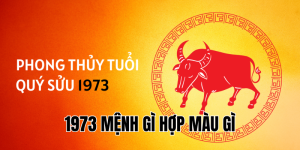 1986 Mệnh Gì Hợp Màu Gì? Chọn Màu Để Kích Hoạt May Mắn 2025