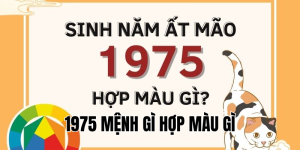 1986 Mệnh Gì Hợp Màu Gì? Chọn Màu Để Kích Hoạt May Mắn 2025