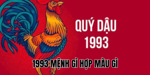 1993 mệnh gì hợp màu gì