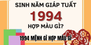 1994 mệnh gì hợp màu gì