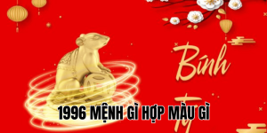 1996 mệnh gì hợp màu gì