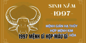 1997 mệnh gì hợp màu gì