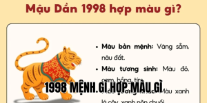 1998 mệnh gì hợp màu gì
