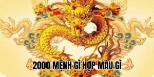 2000 mệnh gì hợp màu gì