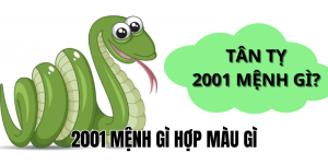 2001 mệnh gì hợp màu gì