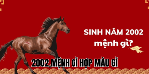 2002 mệnh gì hợp màu gì
