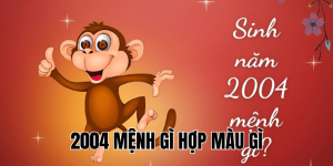2004 mệnh gì hợp màu gì