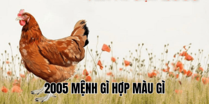 2005 mệnh gì hợp màu gì