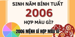 2006 mệnh gì hợp màu gì