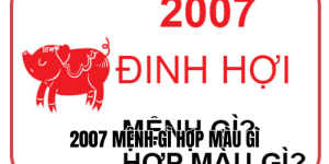 2007 mệnh gì hợp màu gì