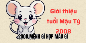 2008 mệnh gì hợp màu gì