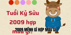2009 mệnh gì hợp màu gì