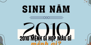2010 mệnh gì hợp màu gì