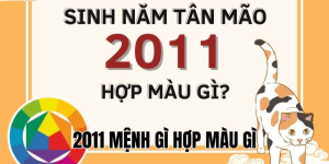 2011 mệnh gì hợp màu gì