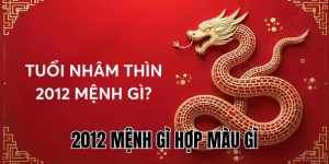 2012 mệnh gì hợp màu gì