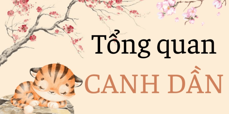 Những màu sắc nên tránh đối với người sinh năm 2010