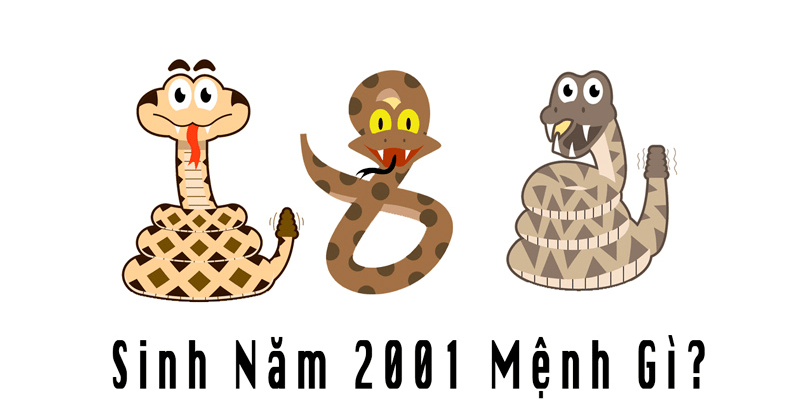 Giải đáp chi tiết: Người sinh năm 2001 mệnh gì?