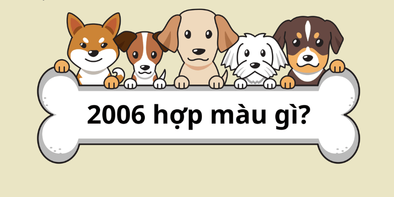 Sinh năm 2006 hợp màu gì nhất theo phong thủy?