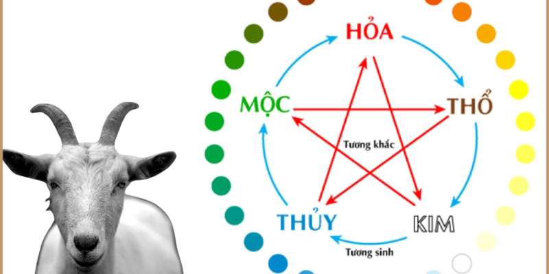 Tuổi Quý Mùi 2003 hợp màu gì?