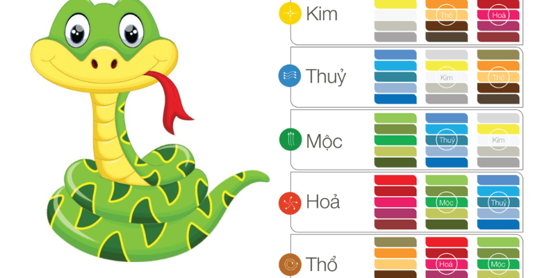 Tuổi Tân Tỵ 2001 hợp màu gì để kích hoạt may mắn?