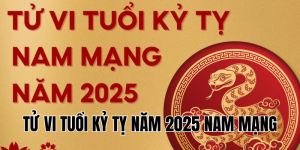 tử vi tuổi kỷ tỵ năm 2025 nam mạng