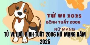tử vi tuổi kỷ tỵ năm 2025 nữ mạng