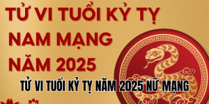 tử vi tuổi kỷ tỵ năm 2025 nữ mạng