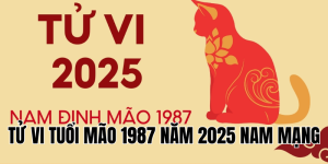 tử vi tuổi mão 1987 năm 2025 nam mạng