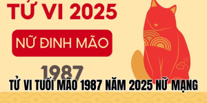 tử vi tuổi mão 1987 năm 2025 nữ mạng
